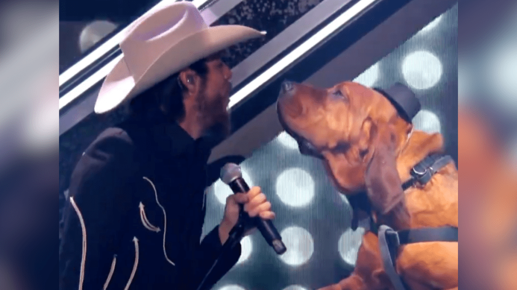 man singing to hound dog
