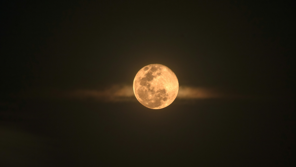 A beautiful, orange full moon in the night sky.