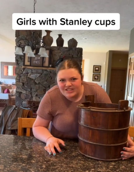 One of many hilarious Stanley cup memes on TikTok.