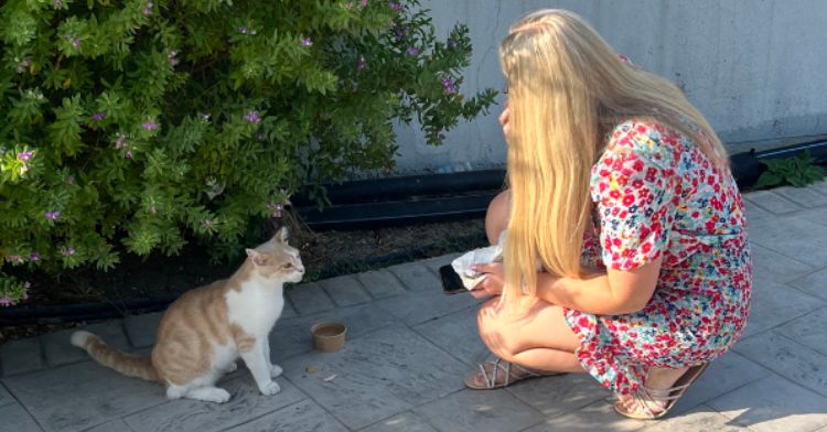 A traveler feeds a stray cat while on vacation.