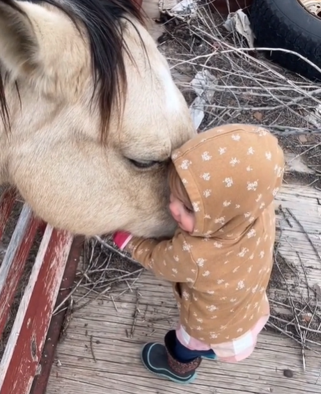 Mom Captures Sweet Interaction As Toddler Lovingly Hugs Gentle Horse.