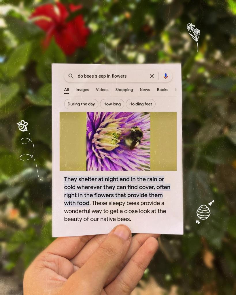 Image shows the search results with animal facts to answer the question "Do Bees Sleep In Flowers?"