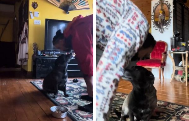 Both images show Badger the dog getting a kiss on the forehead before he eats his meal.