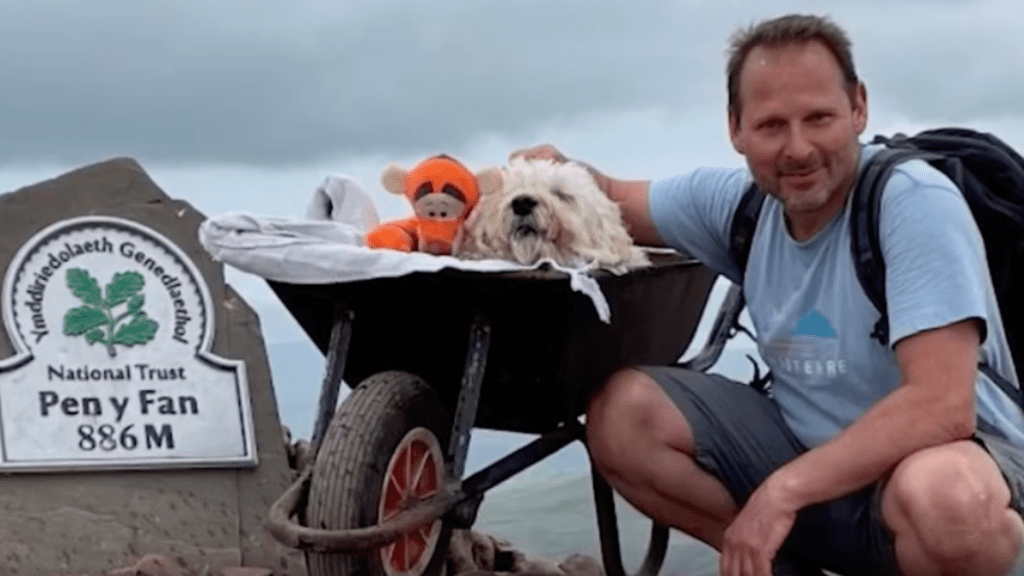 Dying dog in a wheelbarrow