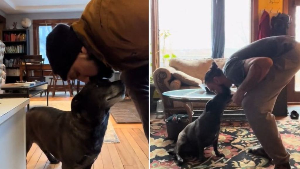 Both panels show Badger the dog and his pet-sitter doing their meal routine, which includes a dog kiss on the forehead before Badger will eat.