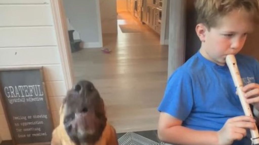 Image shows a young boy playing a recorder while his dog howls next to him.