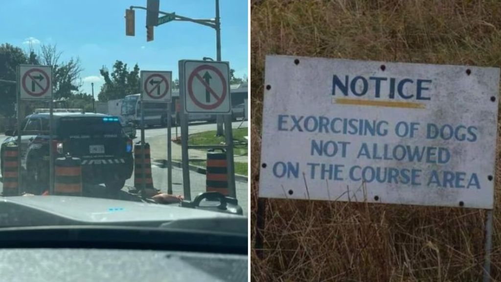 Images show funny and confusing sign fails.