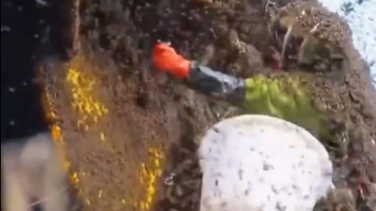 Mesmerizing & Nail-Biting: Watch Rock Climbers Harvest Honey From Cliffsides - Vimarsana News