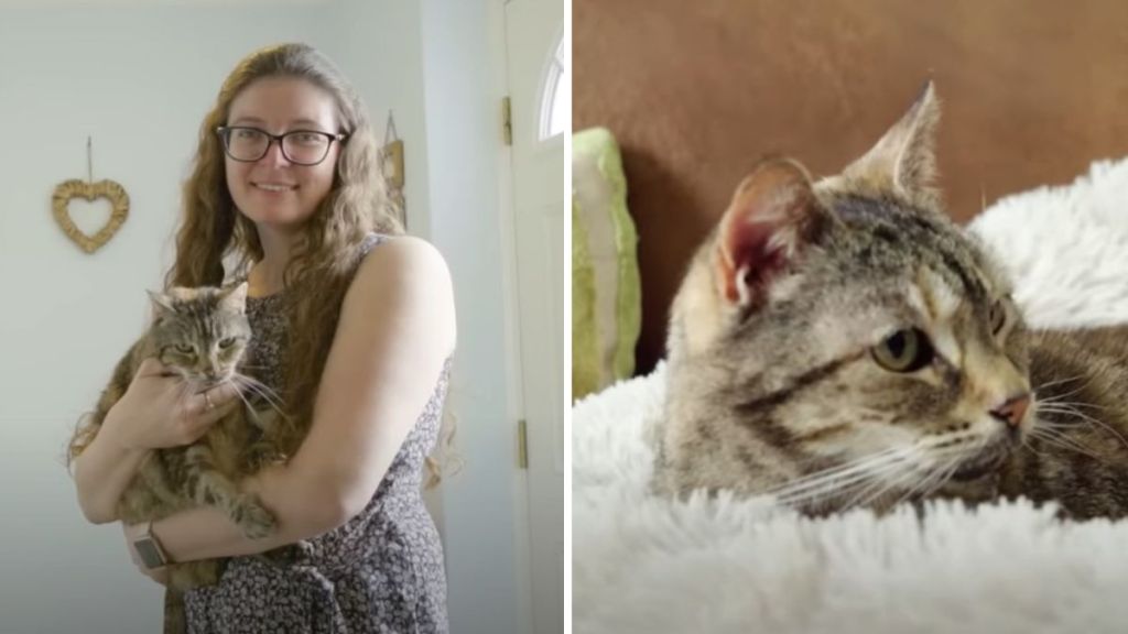 Left panel shows cat owner Nicole Spink and her cat Bella. Right panel shows only Bella
