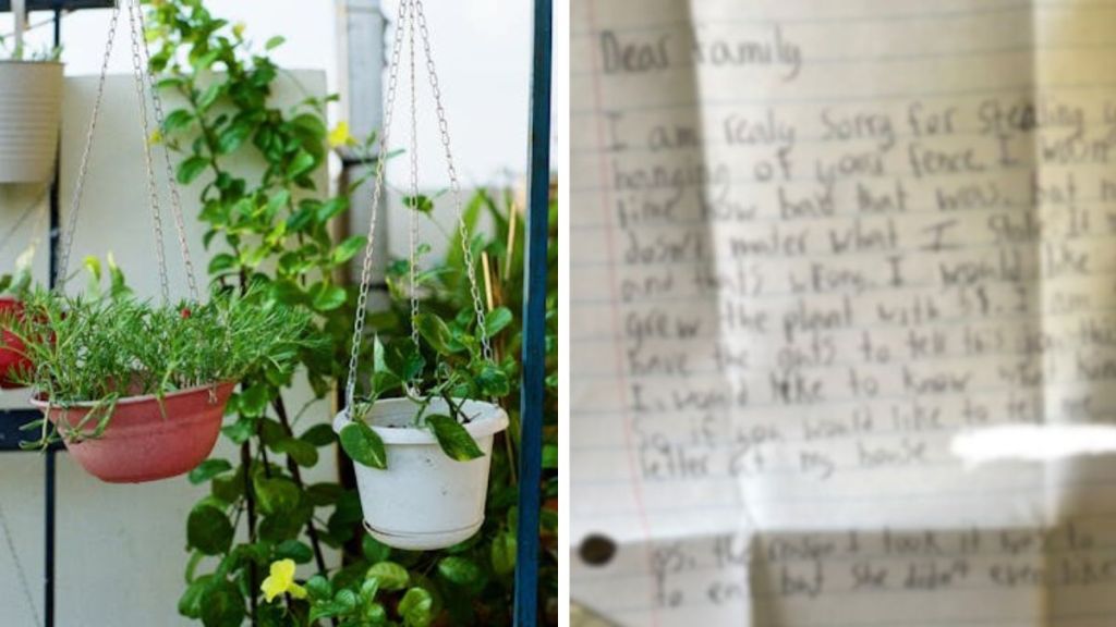 Left image shows a variety of plants hanging on a fence. Right image shows a blurred image of the note written by a child who stole a plant.