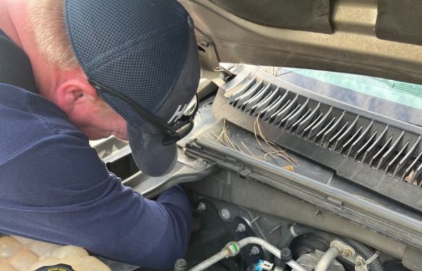Image shows a firefighter gently reaching into a vehicle engine compartment to rescue a tiny kitten.