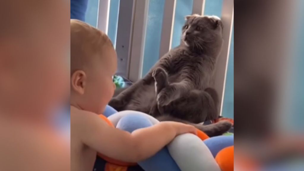 A cat remains perfectly still while a baby stares at them.