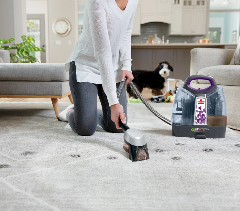 A woman deep cleans her grey carpet while her dog stands in the background.
