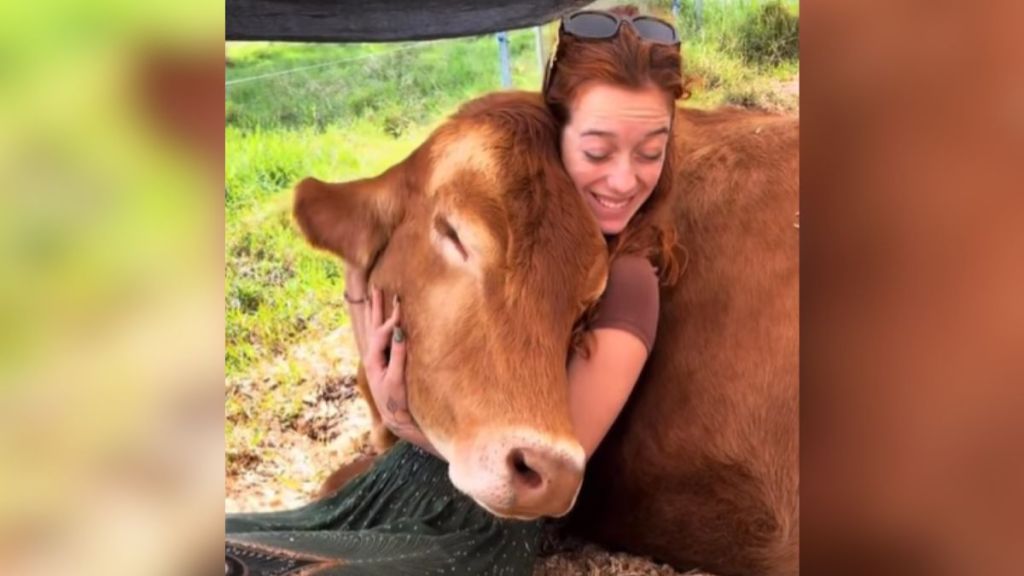 A woman smiles as she cuddles with a cow.