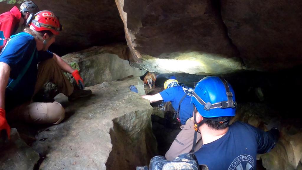 A rescue team wearing helmets finds a trapped dog in a cave. 