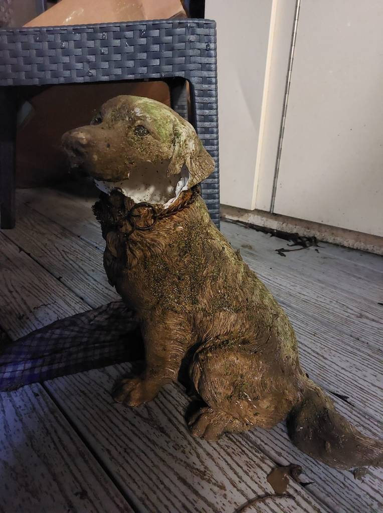 A dirty dog statue sits inside an office space on the floor. A chunk of the statue is gone around the dog's neck.