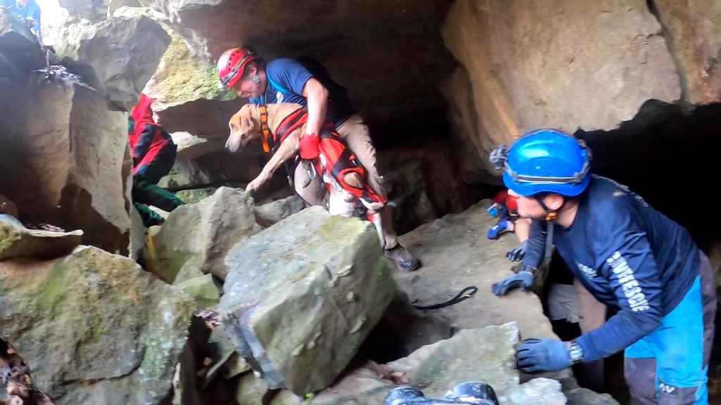 A rescue team pulling a dog in a harness out of a cave.