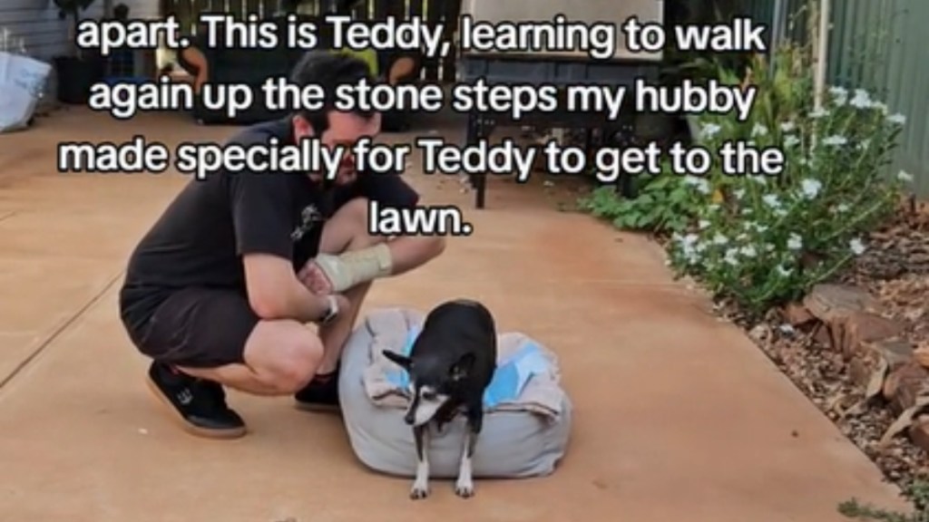 A man squats next to his dog outside. The dog is sitting on a dog bed but is starting to try and stand on his front legs. Text on the image reads: This is Teddy, learning to walk again up the stone steps my hubby made specifically for Teddy to get to the lawn.