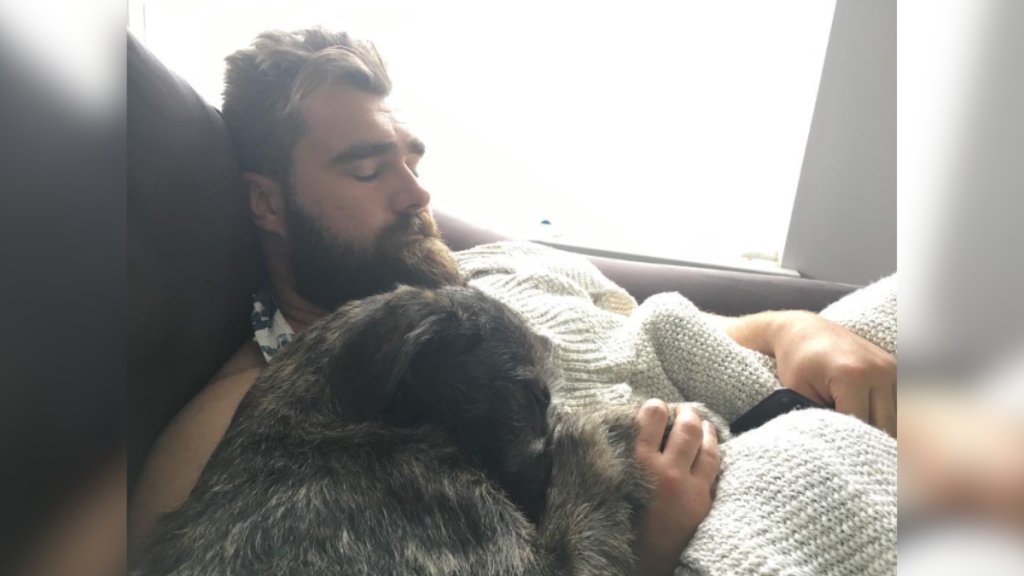 jason kelce napping with his dog winnie
