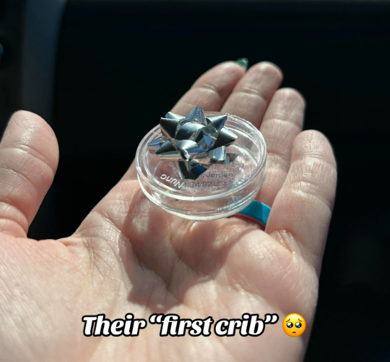 A hand holds a petri dish with a tiny silver bow, like one on a present, on top. Text on the image reads: Their "first crib."