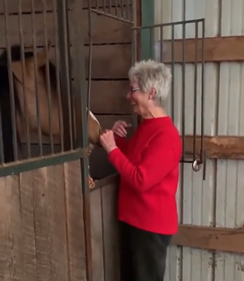 A woman smiles with joy when she's reunited with her horse.