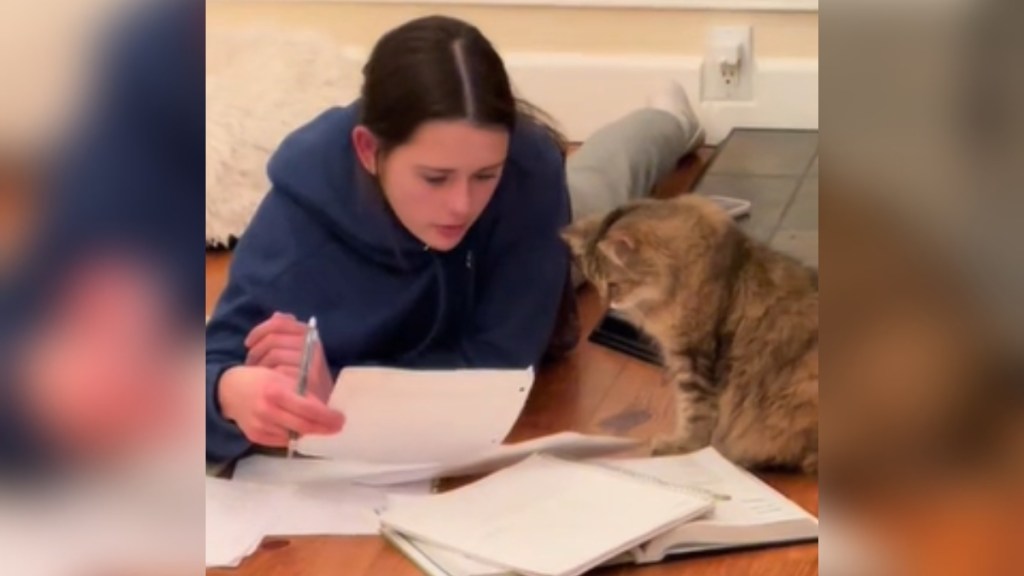 A teen lays on her stomach next to her old cat. Together, they look at the teen's open textbook and notes.