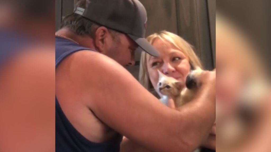 A man in a baseball cap pets two kittens being held by a blonde woman.