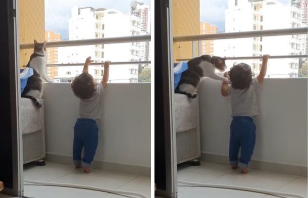 Left image shows a cat looking at its human mom as a child climbs a balcony railing. Right image shows the cat swatting the child's hand away from the railing gently.