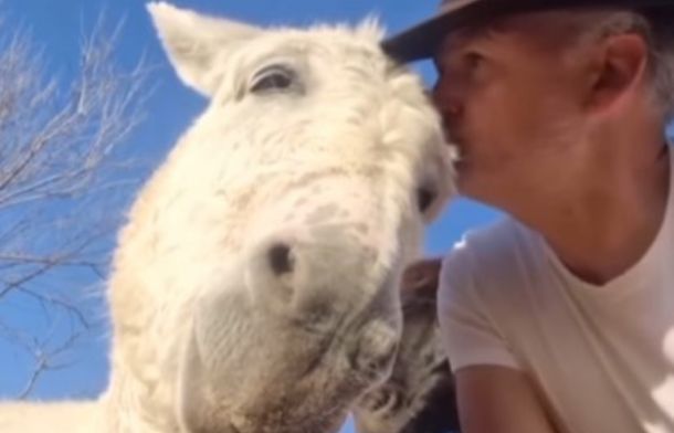 Image shows a man ending a heart-to-heart talk with his donkey by giving the animal a forehead kiss.