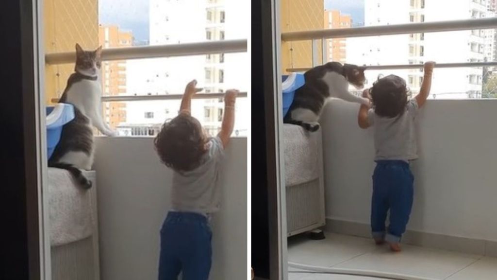 Left image shows a cat looking at its Mom to see if she is watching the child on the balcony. Right image shows the cat gently swatting the child's hands off the railing when the Mom doesn't get up.