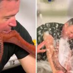 Left image shows Jeff Corwin having his lips sealed by an octopus tentacle. Right image shows Jeff Corwin being "showered" with affection from Pat the octopus.