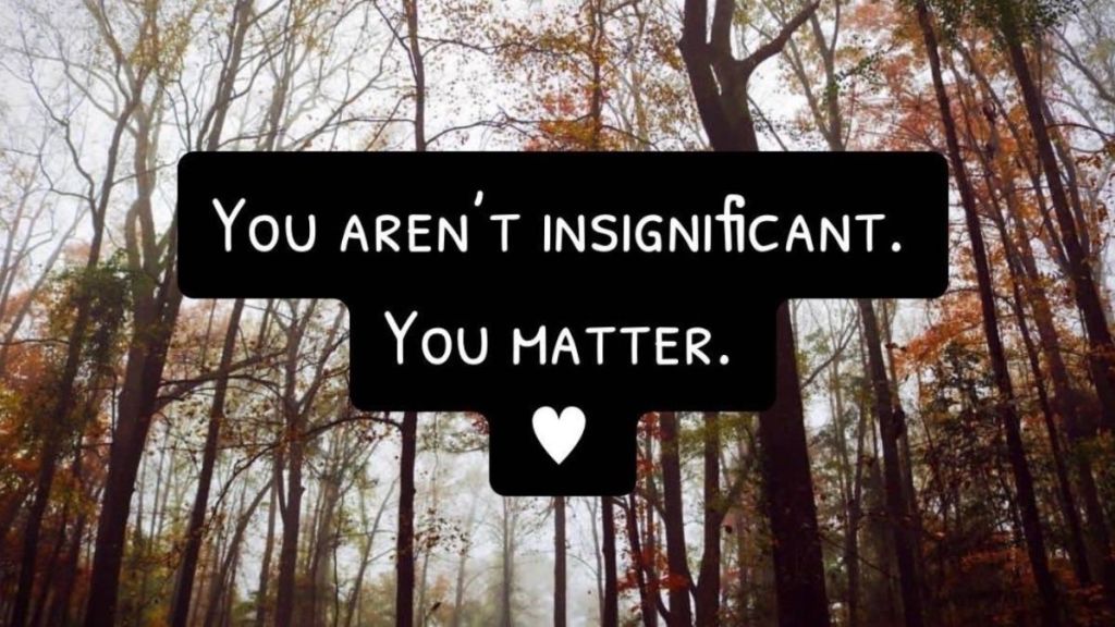 Images shows a forest scene in the background with the words, "You aren't insignificant. You matter."