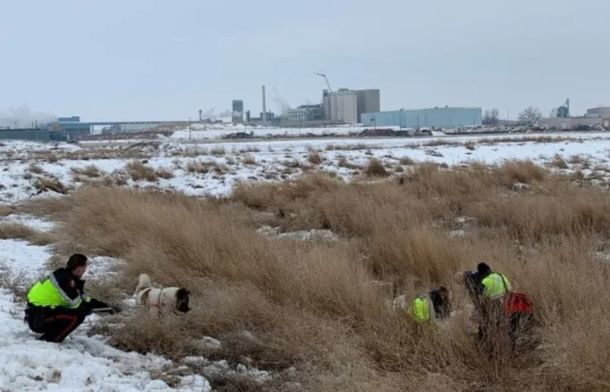 Image show the rescue scene once rescuer's found Hero and his stranded owner in a remote location.