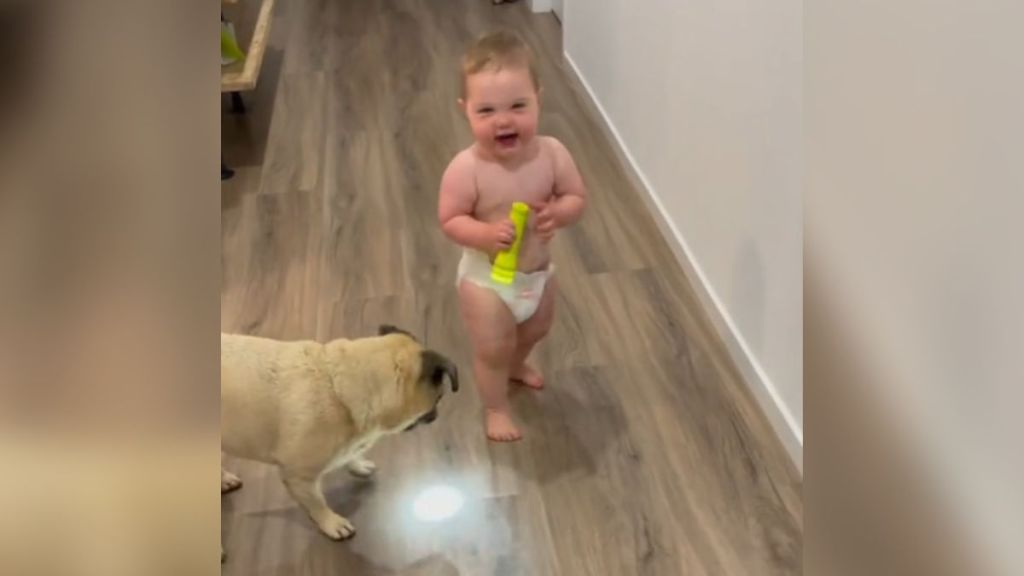 A baby giggling while holding a flashlight, which has a dog mesmerized.