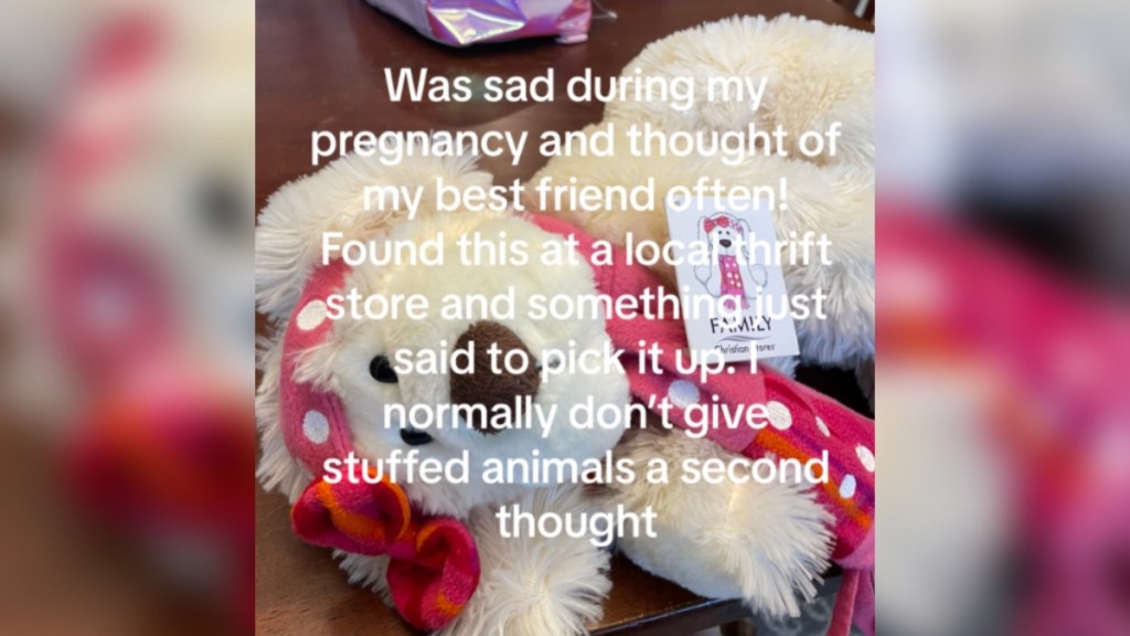 A white stuffed animal lays on a table. Text on the image reads: Was sad during my pregnancy and thought of my best friend often! Found this at a local thrift store and something just said to pick it up. I normally don't give stuffed animals a second thought