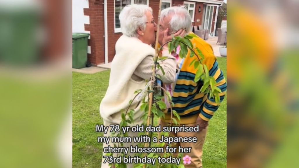 An elderly couple kiss in the backyard by a small tree.