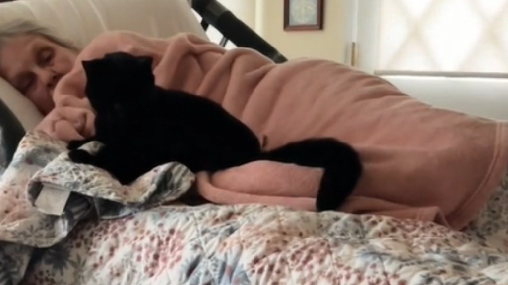 An elderly woman lays in a bed and looks up at her black cat who lays by her side.