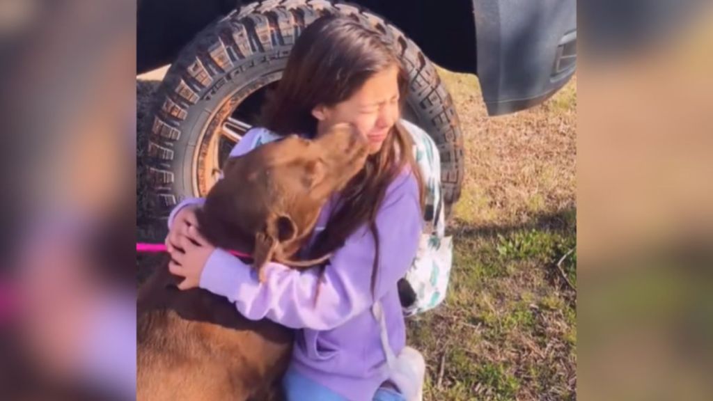 A little girl cries as she hugs her brown dog.