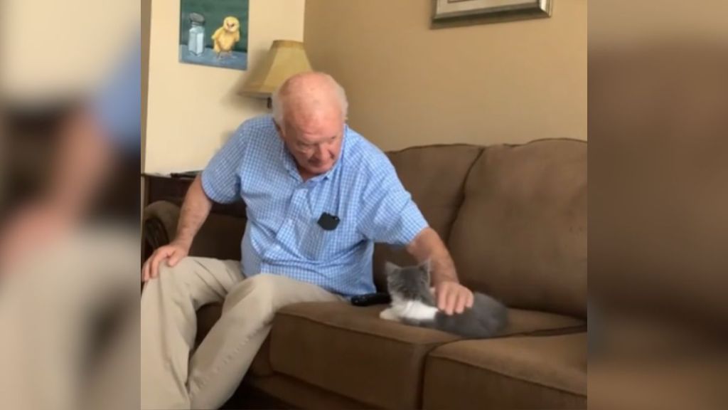 A grandpa sits on the couch and pets a small cat.