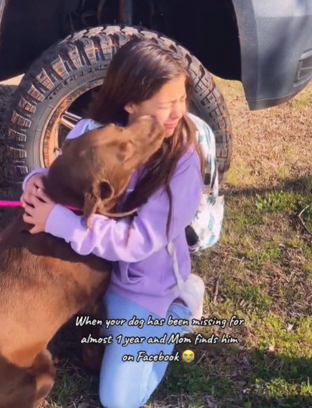 A little girl cries as she hugs her brown dog.