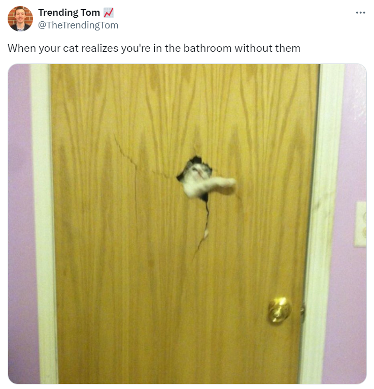 Tweet from @TheTrendingTom that reads: When your cat realizes you're in the bathroom without them
An image shows a cat reaching through a hole in a door.