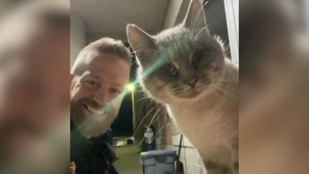 A police officer and a cat staring into the camera together.