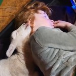 A little girl lays on her side on a dog bed. A lamb lays next to her, head resting on the girl's shoulder. The human girl is watching something on a phone.