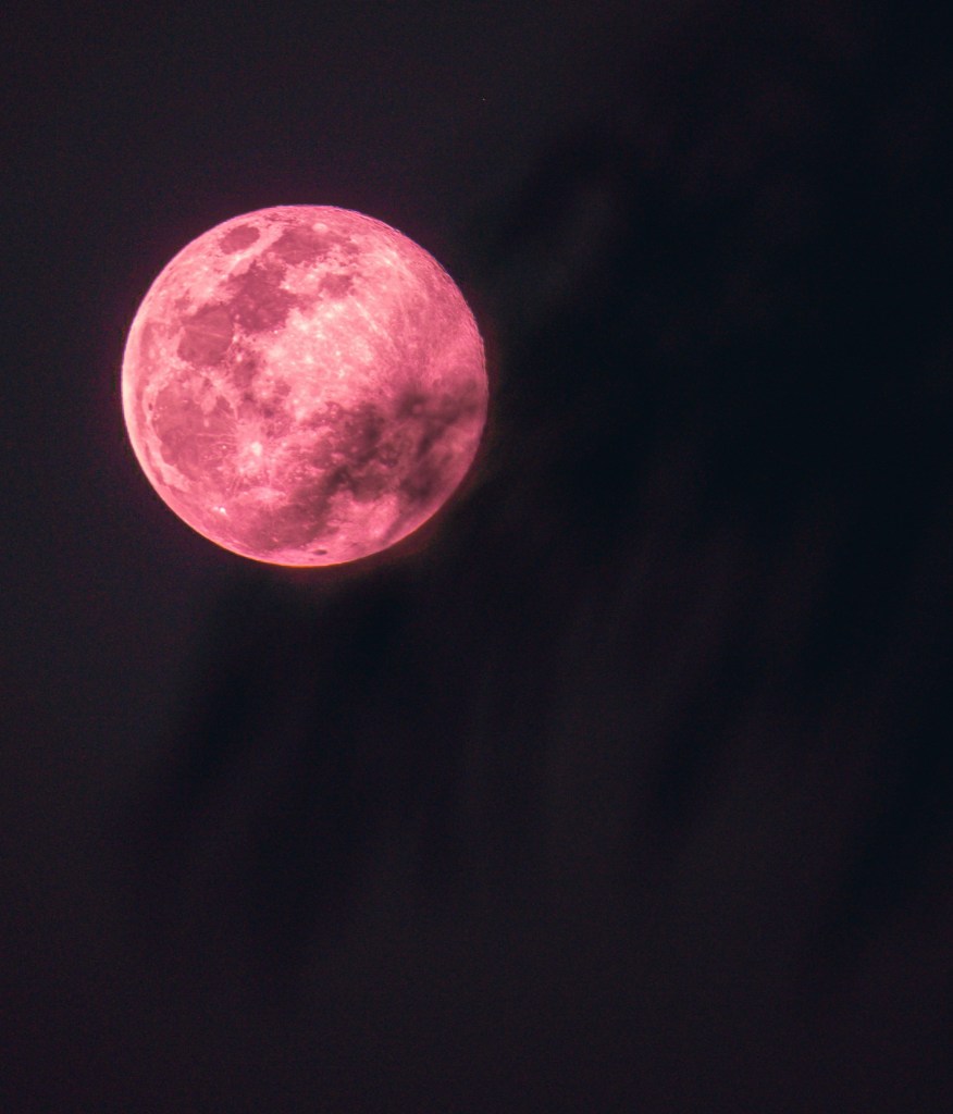 A pink full moon in the dark night sky. 