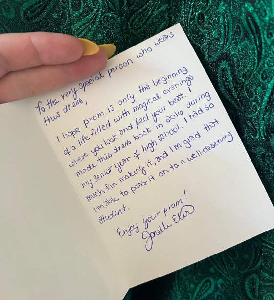 Handmade Prom Dress Has Touching Note For The Lucky Wearer – InspireMore