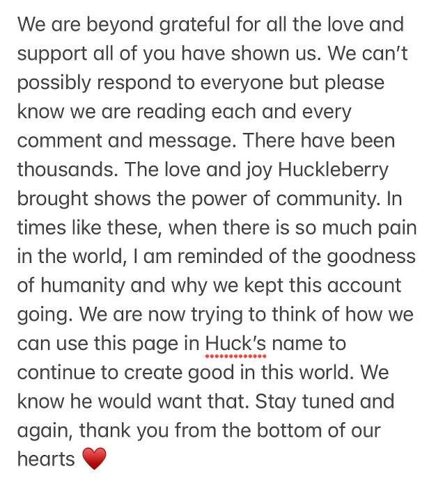 Screenshot of an Instagram post showcasing a note from a phone. It reads: We are beyond grateful for all the love and support all of you have shown us. We can't possibly respond to everyone but please know we are reading each and every comment and message. There have been thousands. The love and joy Huckleberry brought shows the power of community. In times like these, when there is so much pain in the world, I am reminded of the goodness of humanity and why we kept this account going. We are now trying to think of how we can use this page in Huck's name to continue to create good in this world. We know he would want that. Stay tuned and again, thank you from the bottom of our hearts.