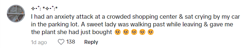 Comment that reads: "I had an anxiety attack at a crowded shopping center & sat crying by my car in the parking lot. A sweet lady was walking past while leaving & gave me the plant she had just bought"