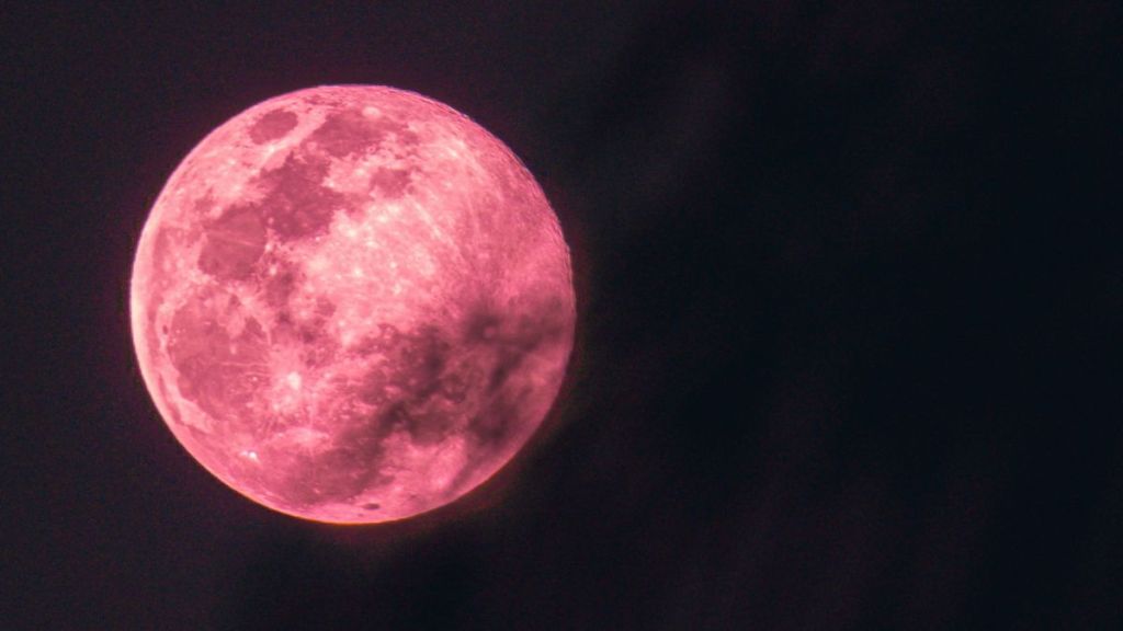 A pink full moon in the dark night sky.