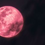 A pink full moon in the dark night sky.