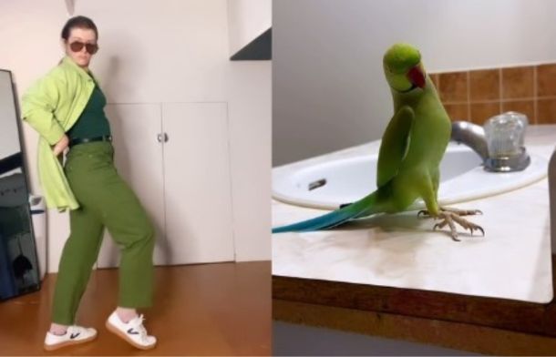 Left frame shows a human dancer striking a pose that mirrors the bird in the right frame.